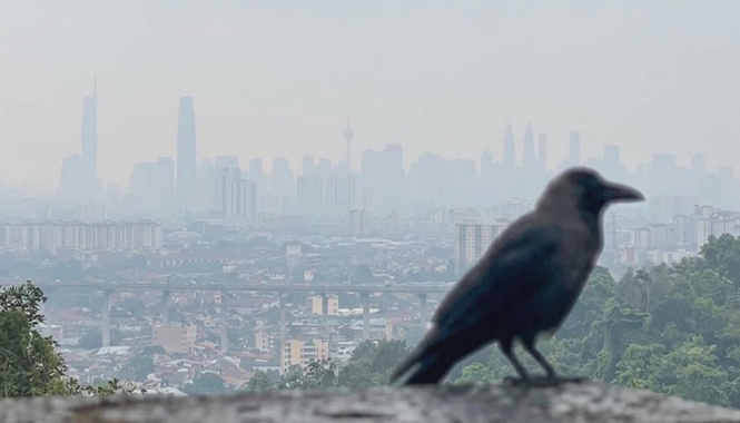Image from: 31 areas with unhealthy air quality at 9 am
