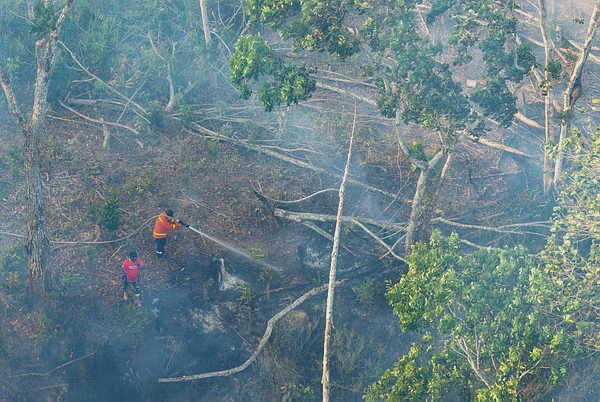 Image from: Indonesia ramps up fight against wildfires causing hazardous haze