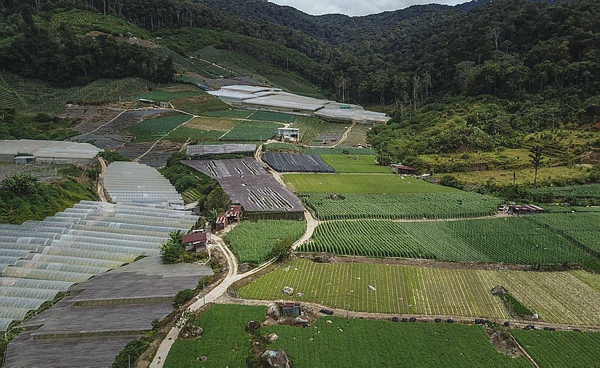 Image from: PM Anwar to raise diesel, smallholder concerns at Cabinet