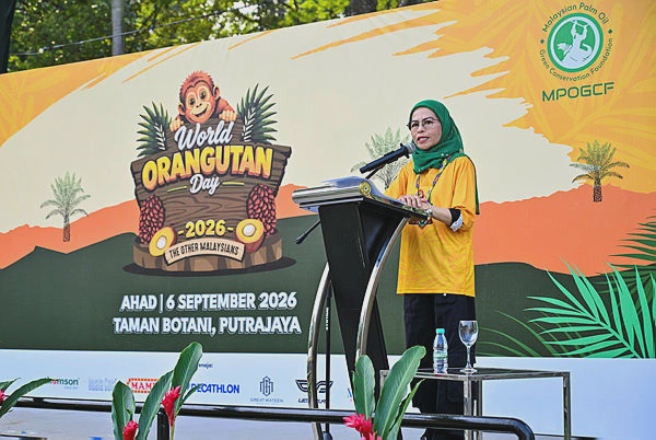 Image from: Oil palm industry allocates RM200,000 to boost Orangutan habitats – Noraini