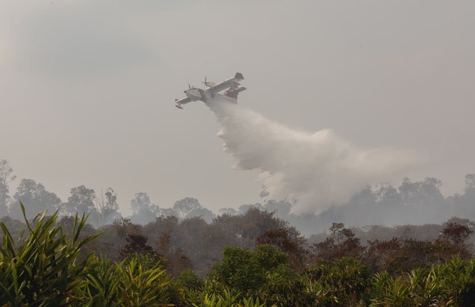 Malaysia offers Indonesia Bombardier aircraft, assets to tackle forest fires, says DPM Zahid - Newswav
