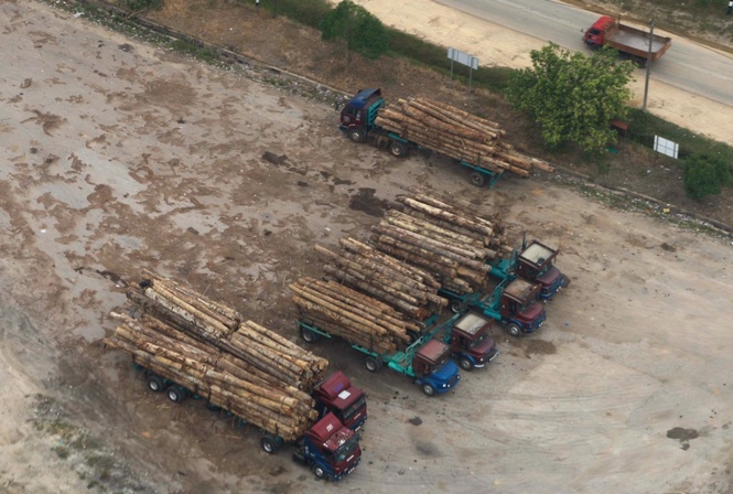 Image from: RM1.425 million worth of machinery, timber seized in Sawmill raid