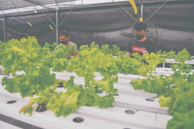Image from: Inspiring next generation of farmers