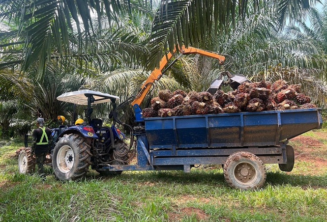 Malaysia-India palm oil trade is more than just commerce