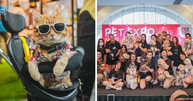 M’sia’s Biggest Pet Expo is Back on 29 May with 300+ Premium Pet Goods, Freebies & More
