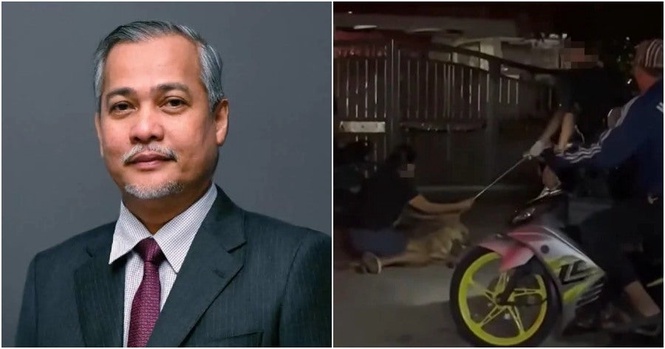 Klang Mayor: No SOP Breach During Dog Capture, Rocky Would Not Have Died if Public Didn’t Interfere