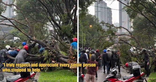 “They didn’t even know each other” – M’sian Praises Motorcyclists For Coming Together To Move Fallen Tree Blocking Road