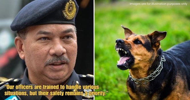 JPJ Officers Reportedly Face Alleged Dog Attacks & Black Magic In Foreign Driver Crackdown