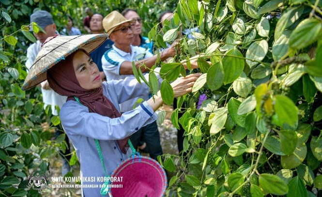 Image from: Noraini bawa suara pekebun kecil, Belanjawan 2027 mesti sediakan dana mencukupi