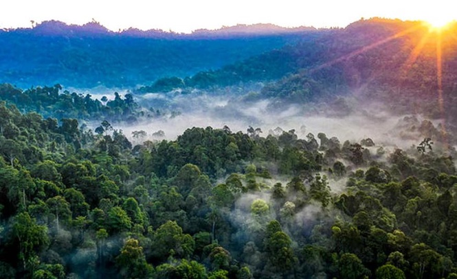 Image from: Sarawak teroka potensi sumber nadir bumi di kawasan seluas 3,134 km persegi - Awang Tengah