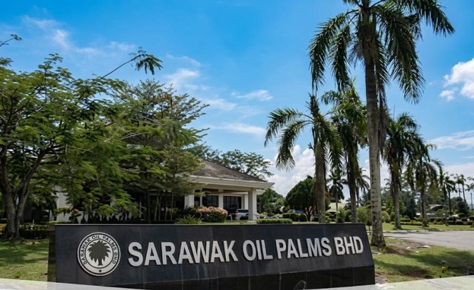 Image from: Prestasi Sarawak Oil Palms dijangka lebih baik pada 3Q26 disokong peningkatan pengeluaran buah tandan segar – RHB Research