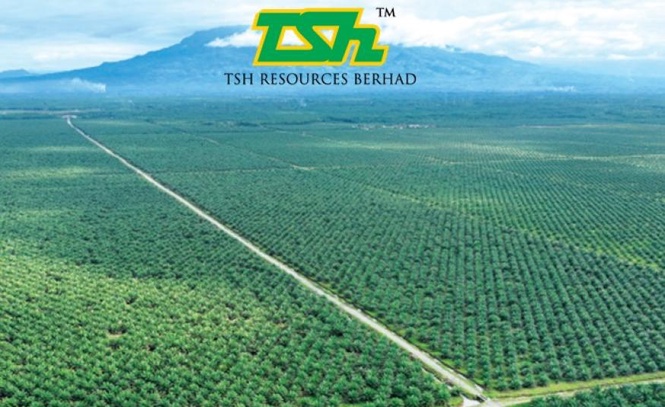 Image from: Sasaran buah tandan segar TSH Resources bagi FY26F kekal 773,000 tan, kata RHB Research