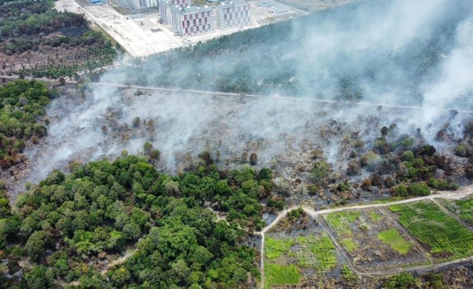 Image from: Tiada bukti kukuh syarikat perladangan Malaysia punca kebakaran hutan di Indonesia - Arthur Kurup