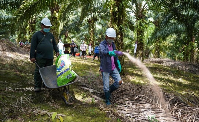 Image from: STA gesa kerajaan tanggung sebahagian caj pengambilan pekerja asing FWTA RM1,854