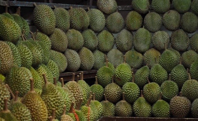 Image from: CEO syarikat pemborong buah-buahan didakwa tipu RM1.65 juta dalam urusan beli kebun durian