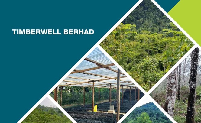 Image from: Timberwell kurangkan RM50 juta modal diterbitkan, pecah satu saham sedia ada kepada tiga baharu