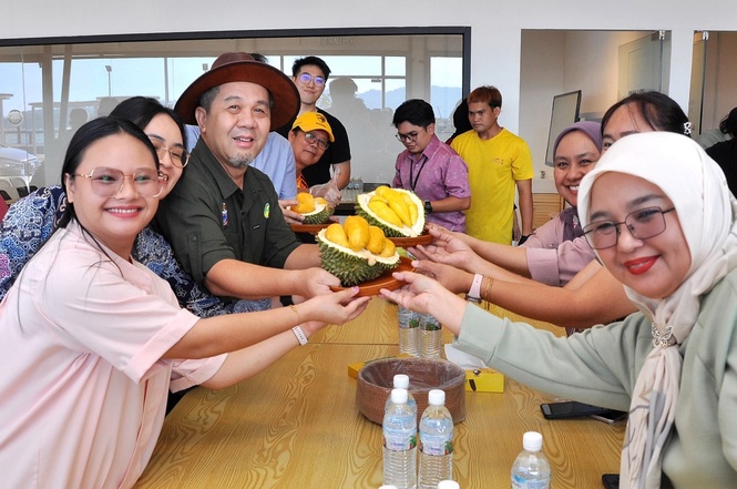 Sabah boosts premium durian, avocado cultivation to raise incomes