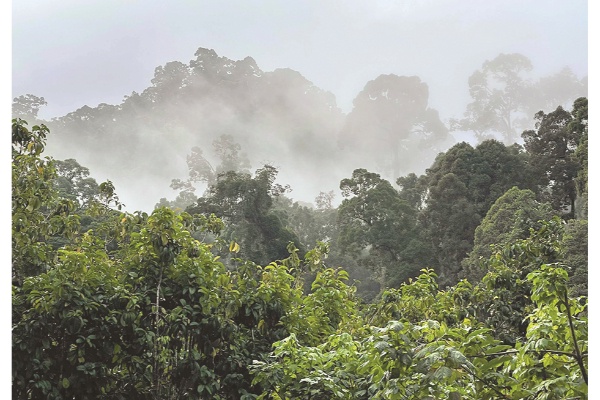 Prioritising sustainable natural resource management