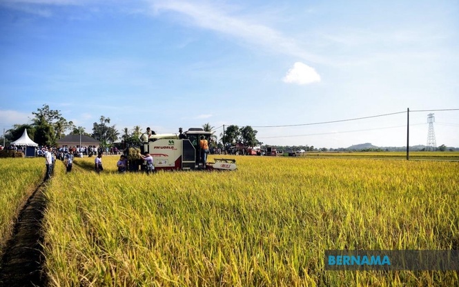 Focus on strengthening food and agro sectors