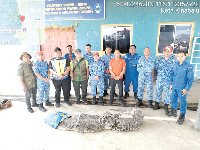Buaya 300kg ditangkap dekat kawasan Dewan Undangan Negeri