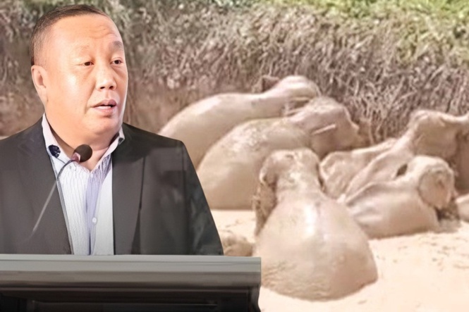 Bimbang kolam berbahaya: Pengusaha ladang diarah pastikan langkah mitigasi sewajarnya