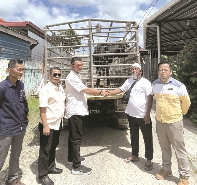 Liawan YB donates 10 cows for Aidiladha