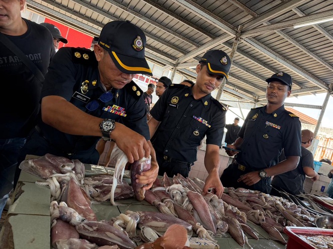 KPDN probes viral claim of fish found inside squid