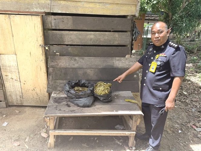 6 liter air ketum dirampas, dua lelaki ditahan di Kota Belud