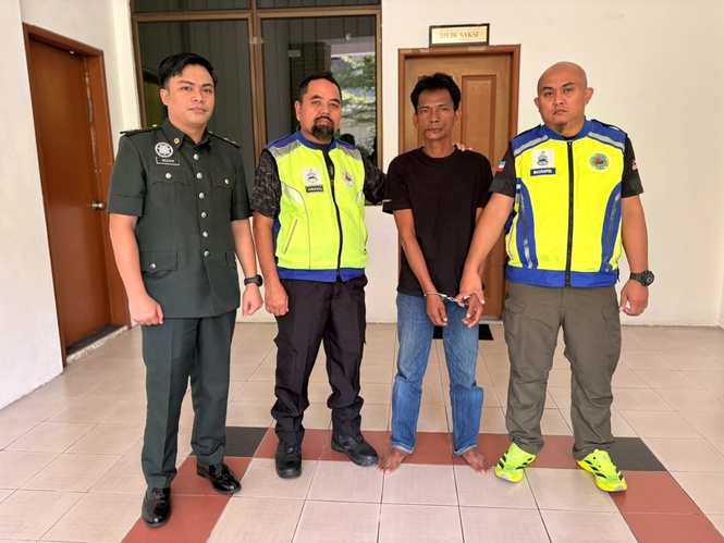 Man jailed, fined RM50,000 for possessing 490 turtle eggs