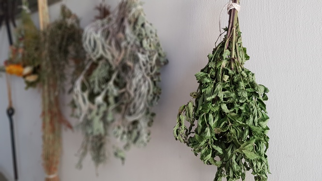 How to dry garden herbs
