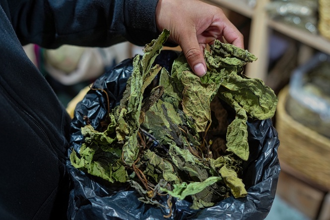 making leaf mold