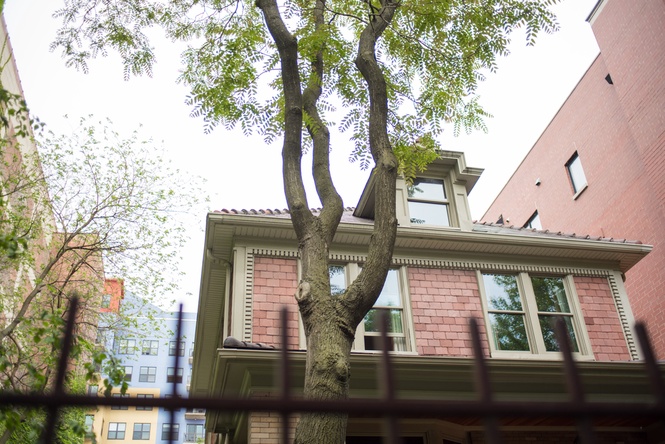 planting trees too close to your house