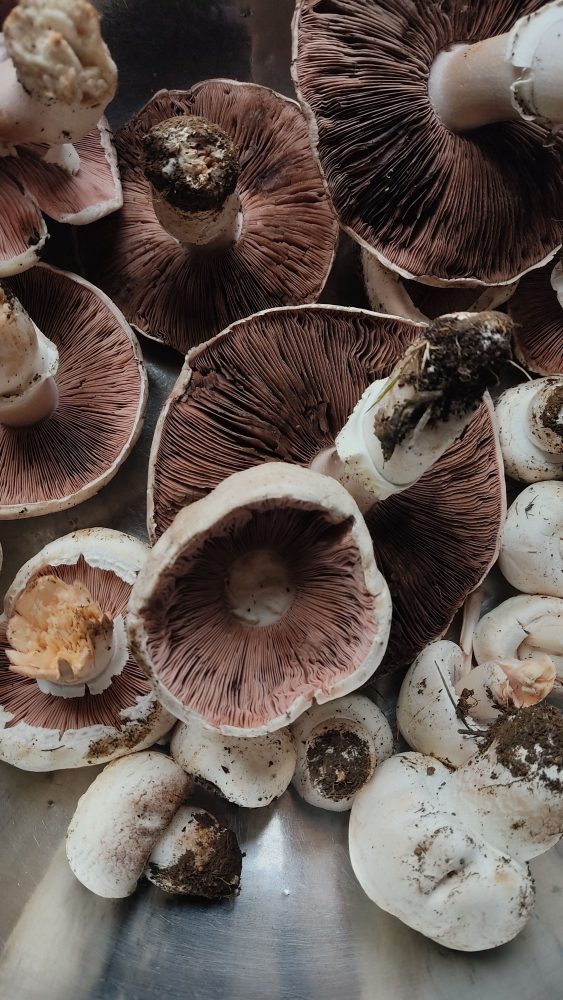 Stop Washing These Foods Before You Store Them