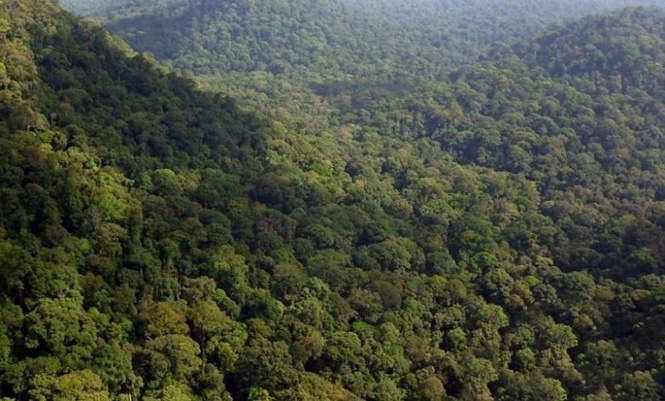 Image from: Empat sekeluarga hilang ketika daki Gunung Trans Gerah berasal dari Yong Peng