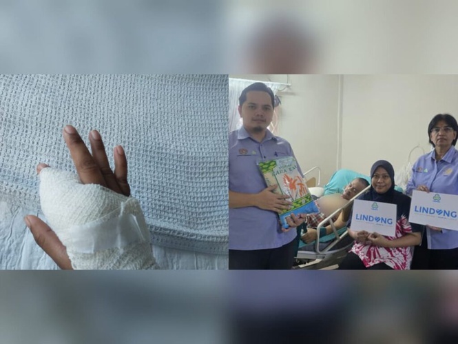 Image from: Lindung 24 Jam: Pembantu veterinar parah digigit kucing layak terima faedah