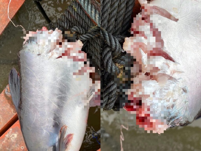 Image from: Misteri patin kena ‘jamah’ waktu malam