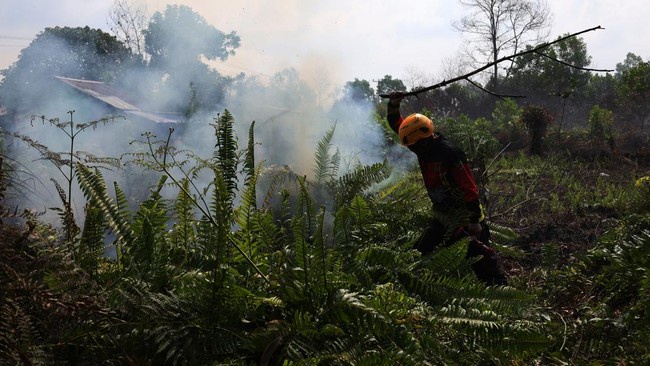 Image from: Asap jerebu berpotensi tersebar ke Malaysia