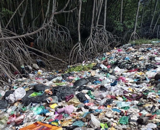 Image from: Hutan paya bakau Sungai Merbok terus jadi ‘port’ buang sampah
