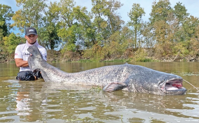 Image from: Menjejak ‘wels catfish’ di tanah Joan d’Arc
