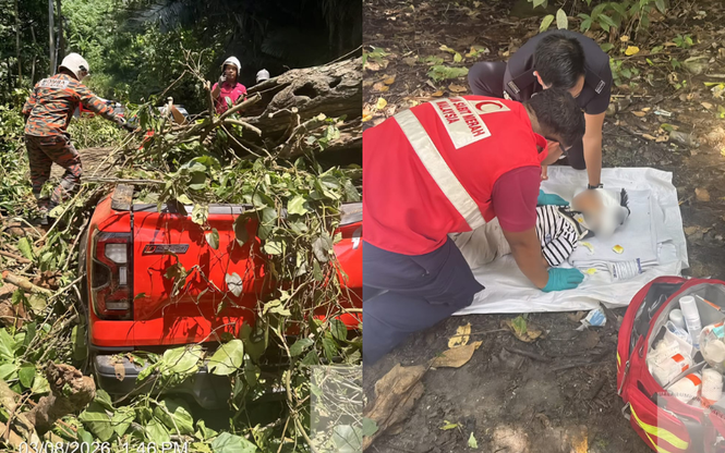 Image from: Pokok tumbang hempap Ford Ranger, empat mangsa tersepit