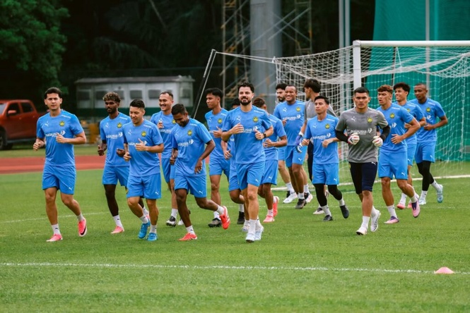Image from: Kritikan lonjak semangat tonggak Harimau Malaya