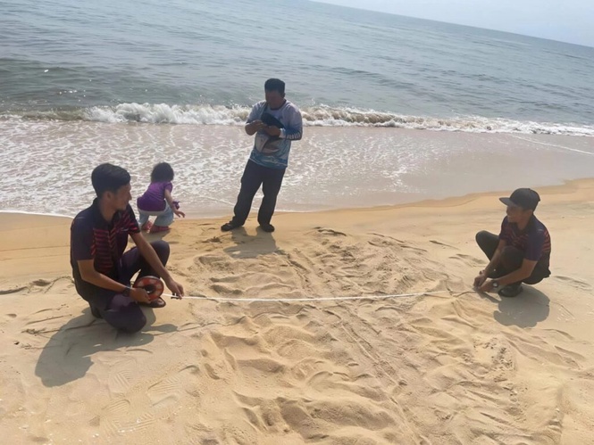 Image from: Penyu belimbing dijangka bertelur lagi di Terengganu