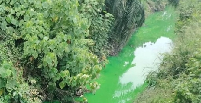 Image from: Air hijau di Telok Panglima Garang