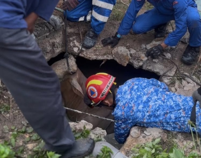Image from: Bunyi air berkocak rupanya lembu dalam lubang kumbahan