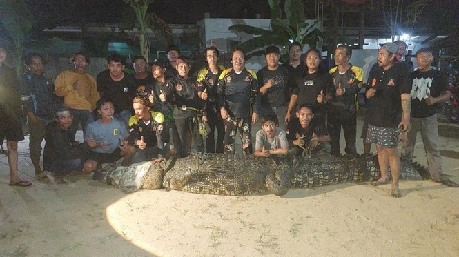 Image from: Buaya gergasi panjang lebih 4 meter masuk perangkap