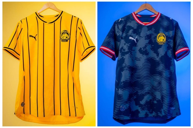 Image from: Harimau Malaya bawa ‘belang’ baharu ke Indonesia