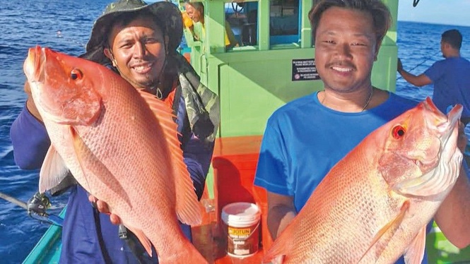 Image from: Diserang merah bagak di perairan Terengganu