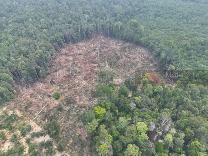 Image from: Modal berjuta, siapa biaya projek haram Tasik Bera?