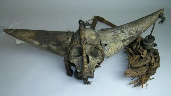 Image from: Muzim Oxford akan kembalikan rangka Naga