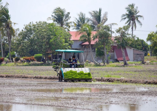 Image from: Nafas hantar 14,000 tan metrik baja, bantu 40,000 pesawah